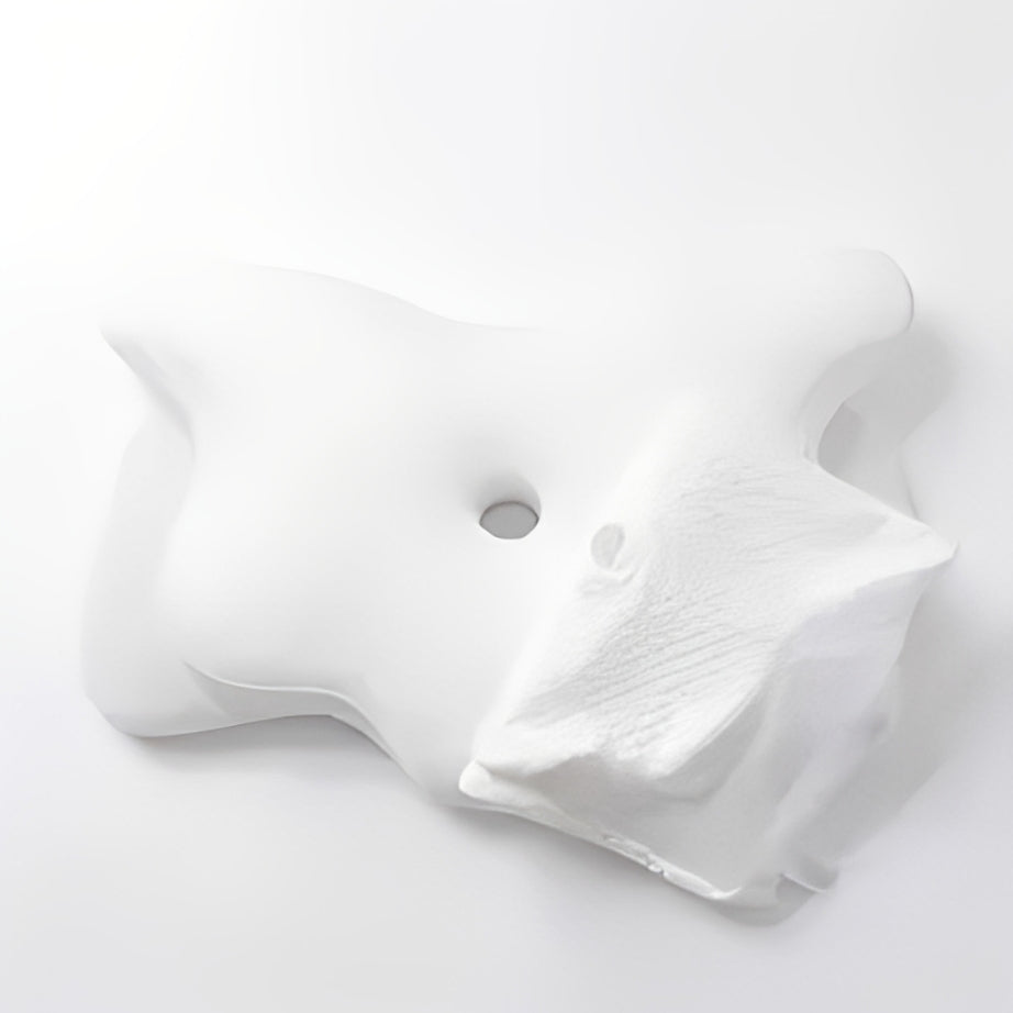 Ergonomic Pillow Anti Dust Cover